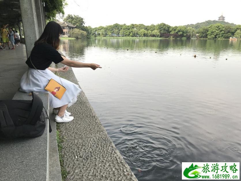 杭州乌镇旅游攻略三日游 杭州乌镇旅游攻略三日游