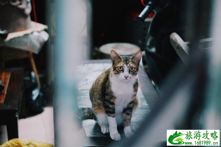 潮汕有什么好玩的地方 潮汕有什么好吃的 潮汕有什么好玩的地方 潮汕有什么好吃的