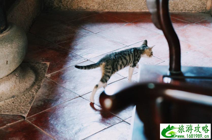 潮汕有什么好玩的地方 潮汕有什么好吃的 潮汕有什么好玩的地方 潮汕有什么好吃的