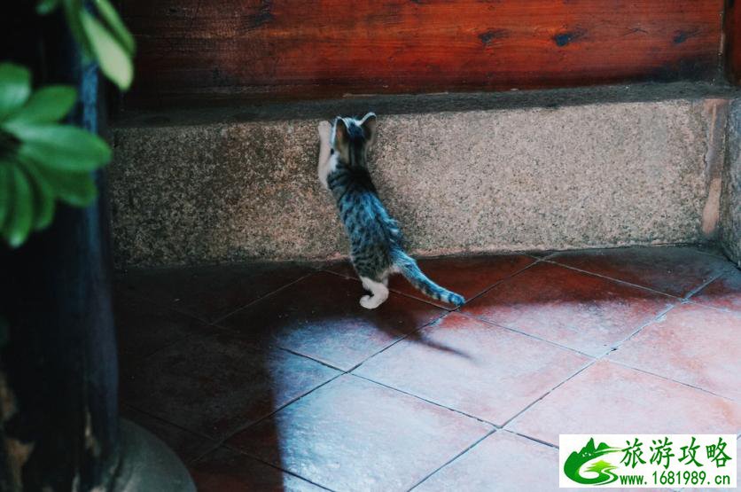 潮汕有什么好玩的地方 潮汕有什么好吃的 潮汕有什么好玩的地方 潮汕有什么好吃的