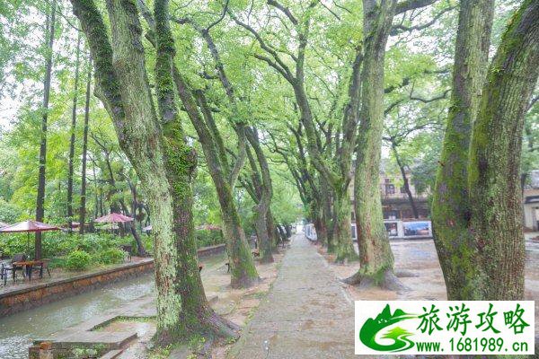 南浔古镇有什么好玩的 南浔古镇自由行攻略 南浔古镇有什么好玩的 南浔古镇自由行攻略