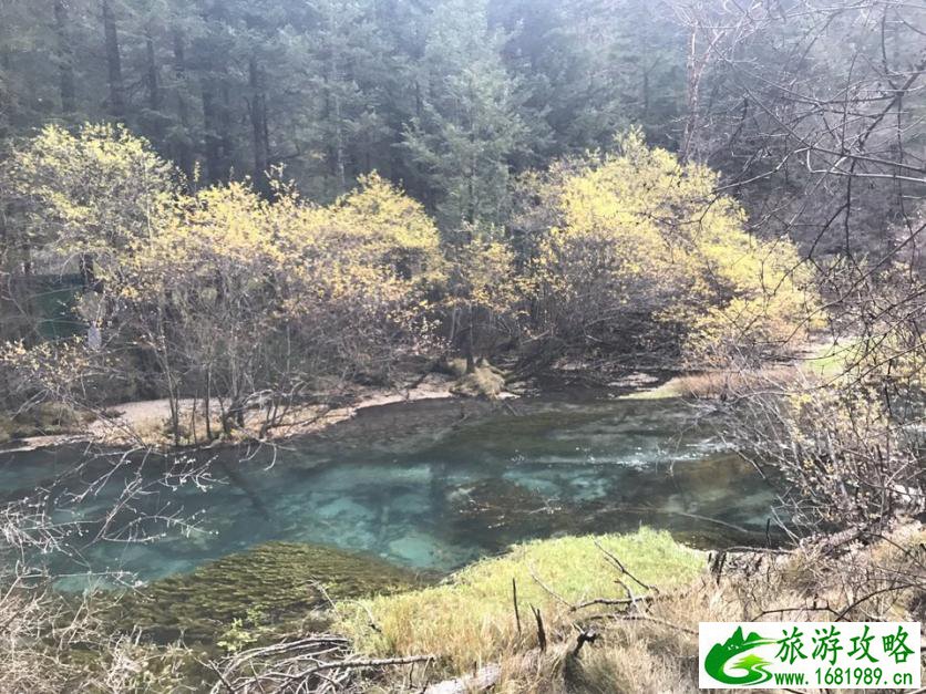 峨眉山有什么景点 峨眉山有什么好吃的 峨眉山有什么景点 峨眉山有什么好吃的