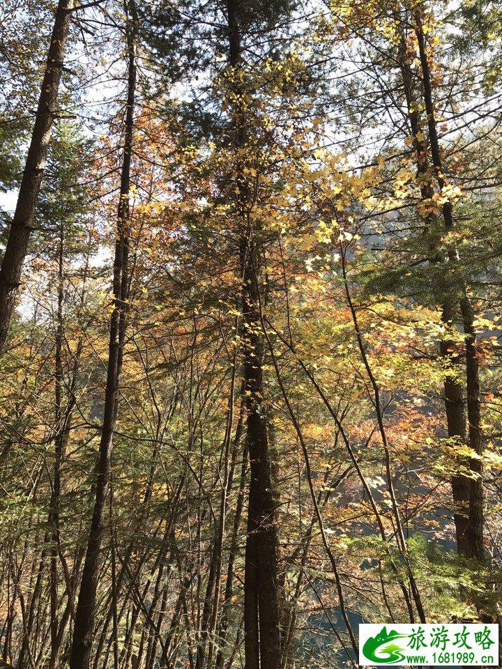 峨眉山有什么景点 峨眉山有什么好吃的 峨眉山有什么景点 峨眉山有什么好吃的