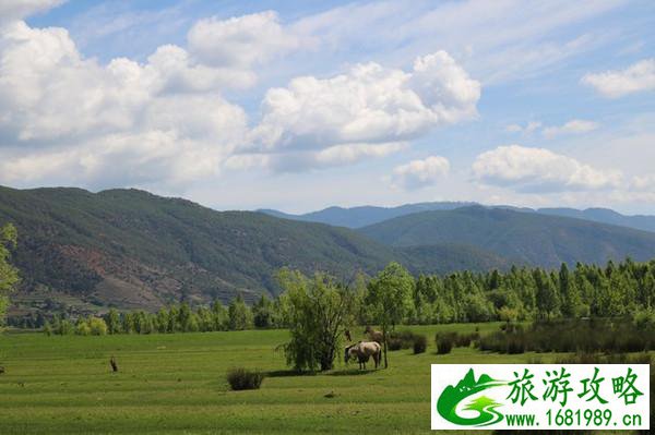 泸沽湖有哪些景点 泸沽湖有什么好吃的 泸沽湖有哪些景点 泸沽湖有什么好吃的