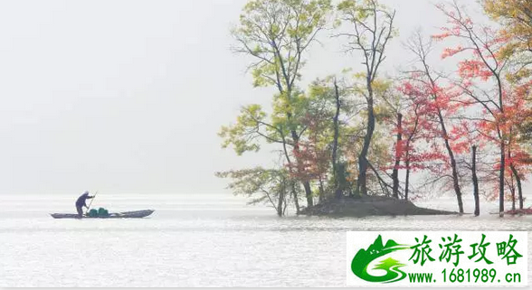 浦江通济湖好玩吗 浦江通济湖哪里拍照好 浦江通济湖好玩吗 浦江通济湖哪里拍照好