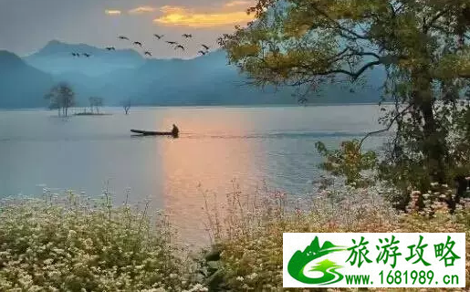 浦江通济湖好玩吗 浦江通济湖哪里拍照好 浦江通济湖好玩吗 浦江通济湖哪里拍照好