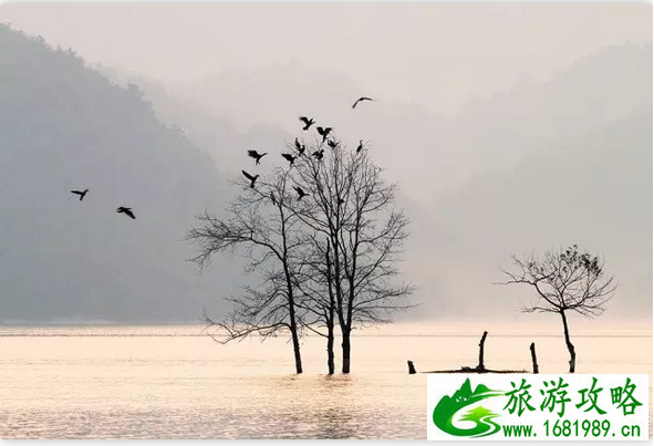 浦江通济湖好玩吗 浦江通济湖哪里拍照好 浦江通济湖好玩吗 浦江通济湖哪里拍照好