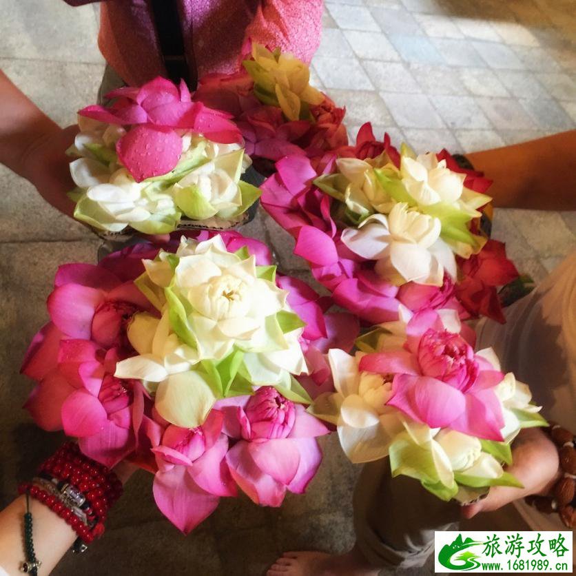 斯里兰卡有什么好玩的 斯里兰卡有什么特产 斯里兰卡有什么好玩的 斯里兰卡有什么特产