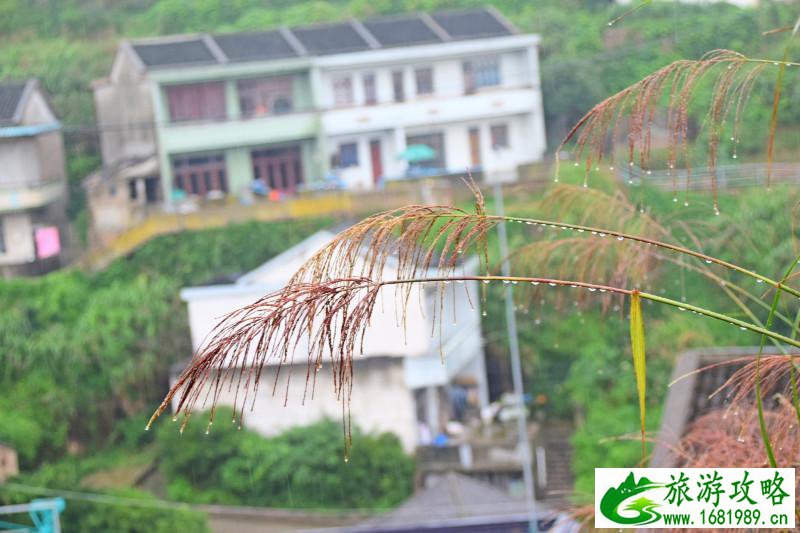 东极岛旅游攻略2017 东极岛好玩吗 东极岛旅游攻略2017 东极岛好玩吗