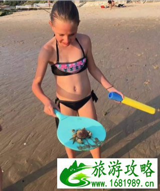 法国波尔多旅游攻略_法国波尔多旅游攻略注意事项2017 法国波尔多旅游攻略_法国波尔多旅游攻略注意事项2017