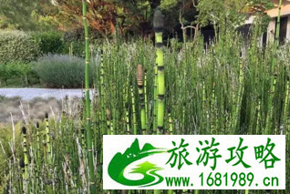 法国波尔多旅游攻略_法国波尔多旅游攻略注意事项2017 法国波尔多旅游攻略_法国波尔多旅游攻略注意事项2017