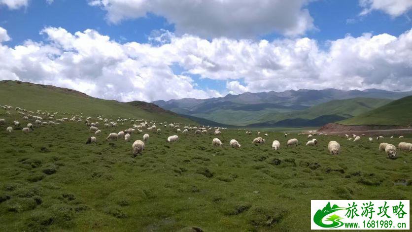 甘肃旅游景点大全排名2017 甘肃旅游景点大全排名2017