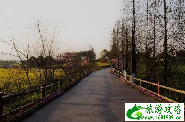 高淳老街桠溪慢城旅游攻略 高淳老街桠溪慢城旅游攻略