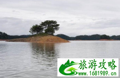 千岛湖在哪里 千岛湖的特产有哪些 千岛湖在哪里 千岛湖的特产有哪些