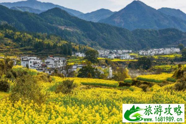 婺源自驾两日游攻略