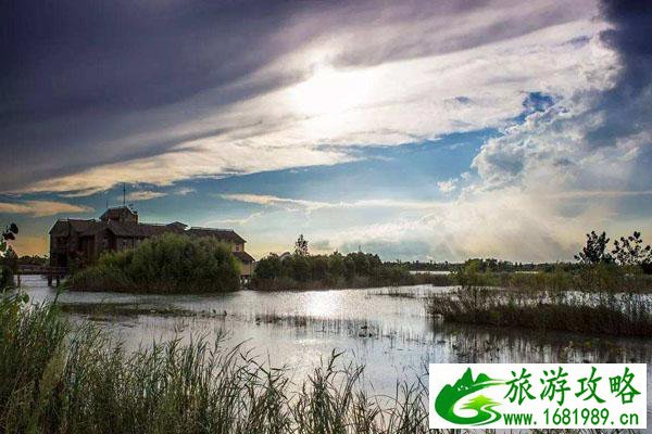 泗洪洪泽湖湿地公园好玩吗 游玩攻略