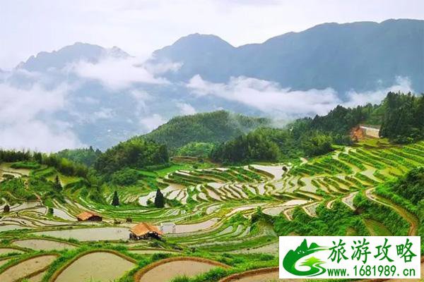 云和梯田怎么自驾上山