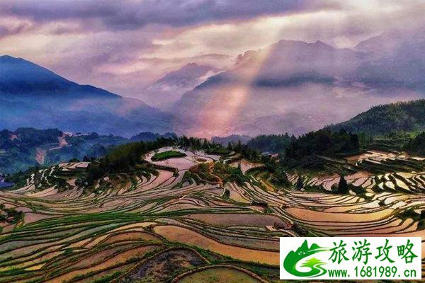 云和梯田怎么自驾上山