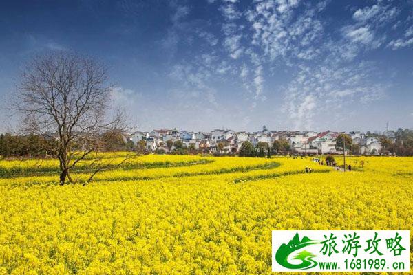 高淳国际慢城有什么好玩的景点