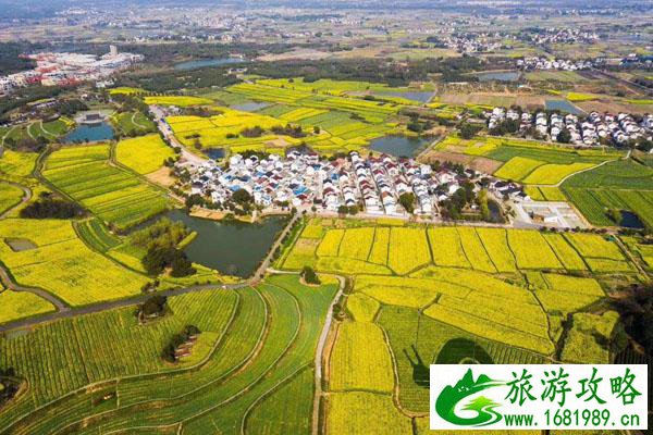 高淳国际慢城一日游攻略 游玩路线推荐