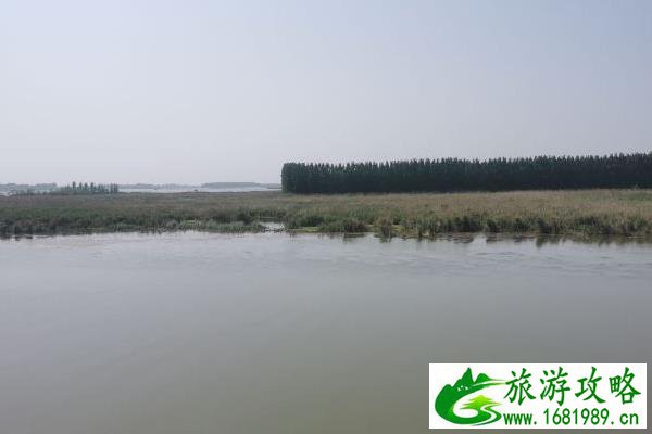微山岛旅游攻略自驾游