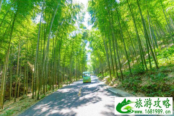 宜兴竹海好玩吗 宜兴竹海有什么好玩的景点