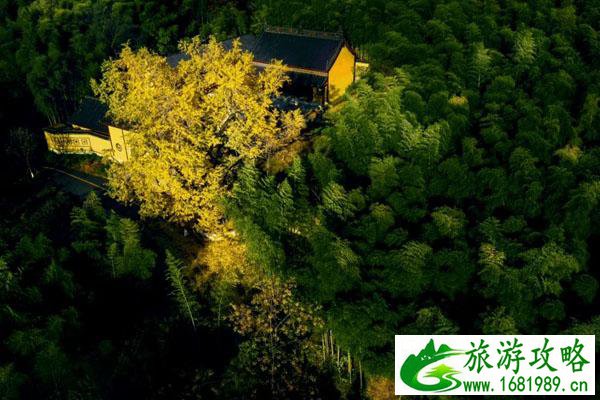 宜兴竹海好玩吗 宜兴竹海有什么好玩的景点