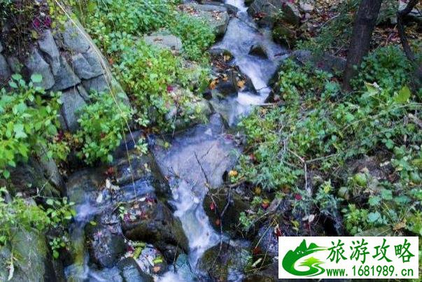 怎么去九如山瀑布群风景区 九如山是哪个省的