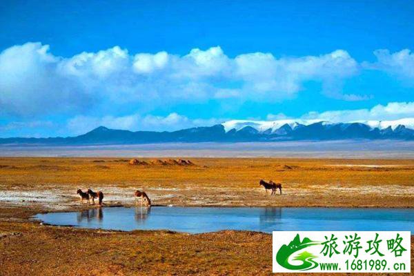 国内禁止旅游的景点有哪些 户外旅游注意事项 国内禁止旅游的景点有哪些 户外旅游注意事项