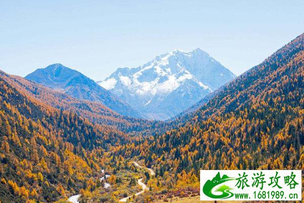 雅拉穿越攻略 难度如何 雅拉穿越攻略 难度如何