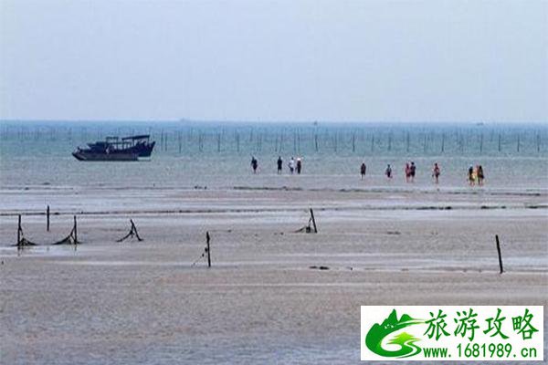 防城港适合赶海的海边小渔村
