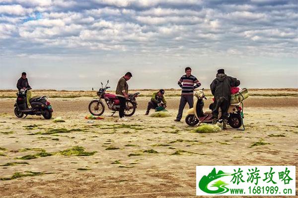 广西北海银滩景点介绍 银滩可以赶海吗