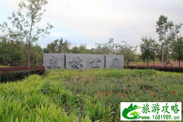 昌吉森林公园可以烧烤吗 昌吉森林公园可以烧烤吗