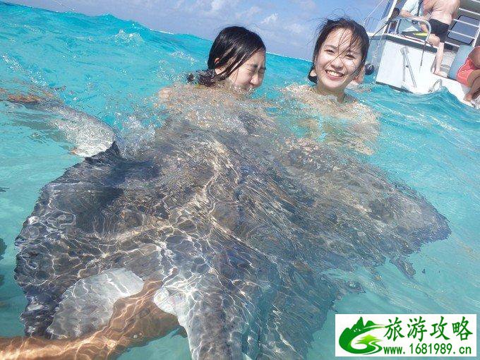 2017游轮游攻略 游轮游注意事项