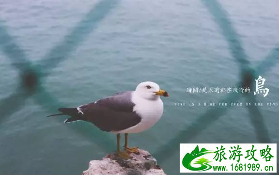 山东自助游攻略2017最新版 山东自助游攻略2017最新版