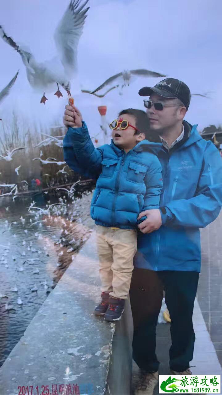 2017亲子游旅游攻略 2017亲子游旅游攻略