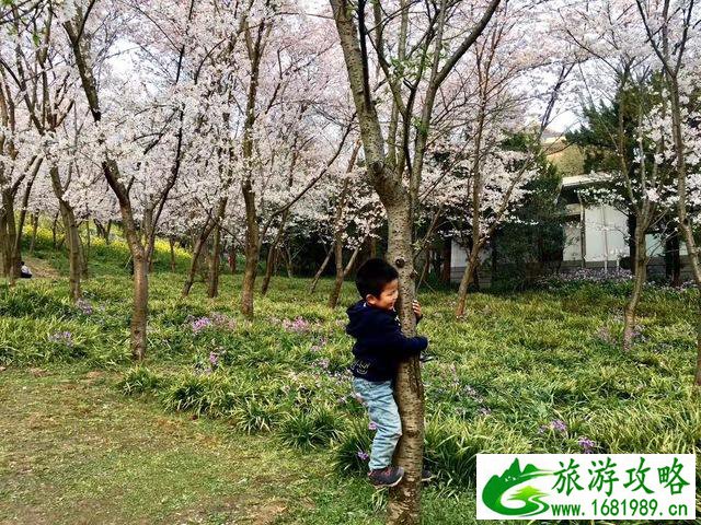 2017亲子游旅游攻略 2017亲子游旅游攻略