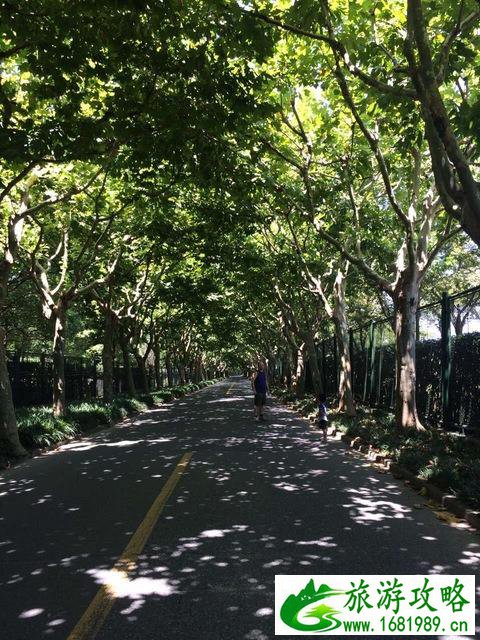 2017亲子游旅游攻略 2017亲子游旅游攻略