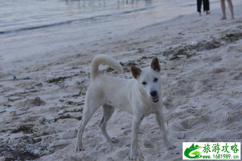 巴厘岛有哪些景区 巴厘岛有哪些好吃的 巴厘岛有哪些景区 巴厘岛有哪些好吃的