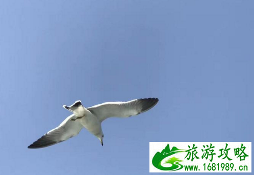 山东长岛旅游 长岛有什么好玩的地方 长岛在什么地方 山东长岛旅游 长岛有什么好玩的地方 长岛在什么地方