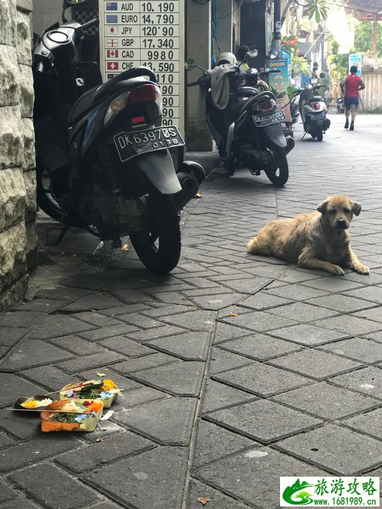 巴厘岛有哪些景区 巴厘岛有哪些好吃的 巴厘岛有哪些景区 巴厘岛有哪些好吃的
