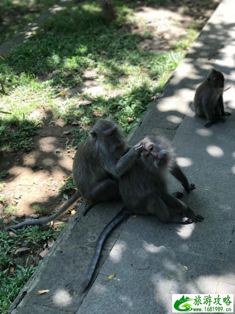 巴厘岛有哪些景区 巴厘岛有哪些好吃的 巴厘岛有哪些景区 巴厘岛有哪些好吃的