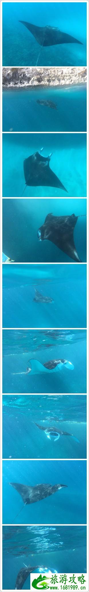 巴厘岛有哪些景区 巴厘岛有哪些好吃的 巴厘岛有哪些景区 巴厘岛有哪些好吃的