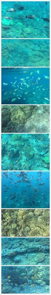 巴厘岛有哪些景区 巴厘岛有哪些好吃的 巴厘岛有哪些景区 巴厘岛有哪些好吃的