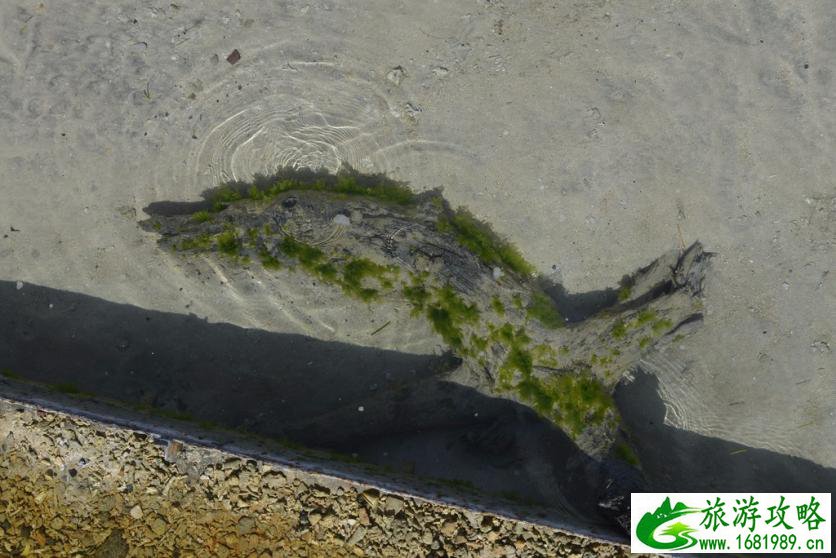 巴厘岛有哪些景区 巴厘岛有哪些好吃的 巴厘岛有哪些景区 巴厘岛有哪些好吃的