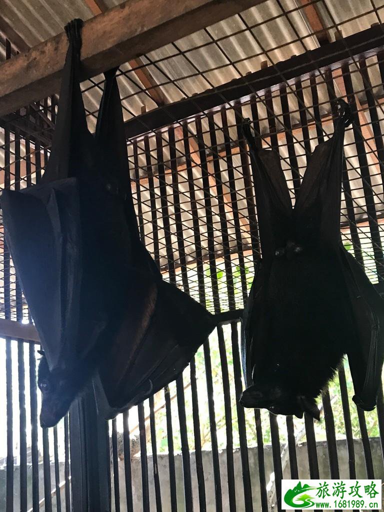 巴厘岛有哪些景区 巴厘岛有哪些好吃的 巴厘岛有哪些景区 巴厘岛有哪些好吃的