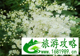 泰山在哪儿 泰山有什么好玩的 泰山有哪些好玩的景点 泰山在哪儿 泰山有什么好玩的 泰山有哪些好玩的景点