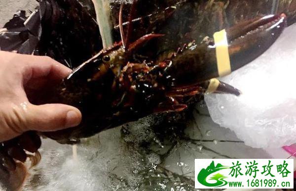 三亚自由行2017最全旅游攻略 三亚自由行2017最全旅游攻略