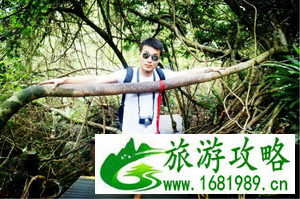三亚自由行2017最全旅游攻略 三亚自由行2017最全旅游攻略