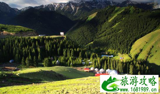 伊犁薰衣草基地旅游攻略2017 伊犁薰衣草基地旅游攻略2017